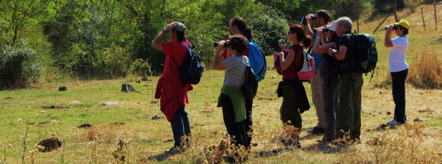 Bird watching and canoe route through the Duratón
